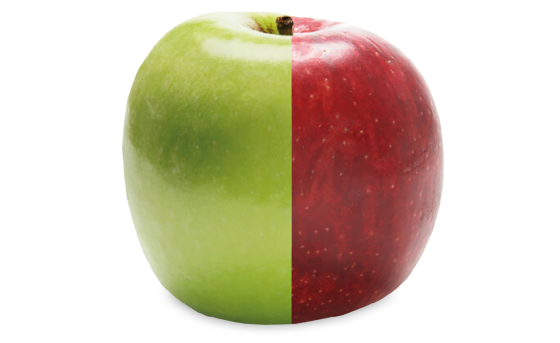 Apfel, der zur Hälfte rot und grün gefärbt ist, symbolisiert Frische und Qualität.