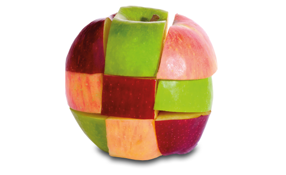 Apfel aus verschiedenen Würfeln zusammengesetzt, zeigt eine Vielfalt von Apfelsorten.